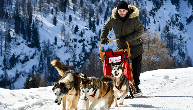 slitta trainata dai cani nelle escursioni dell'Husky Village