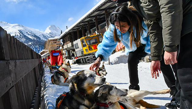 conoscenza degli husky prima dello sleddog in Valtellina