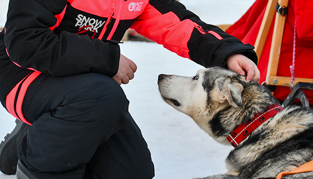 esperienza sleddog con bambini