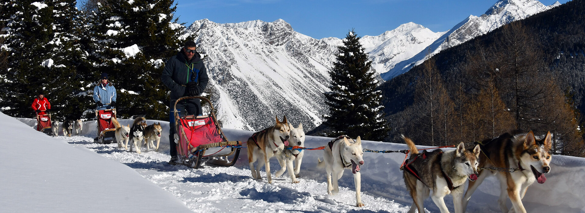 husky experience in valtellina