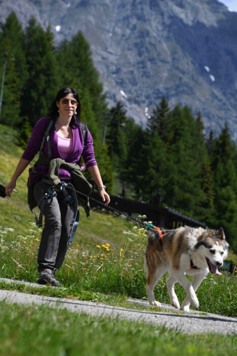 trekking con husky in val viola vicino Bormio