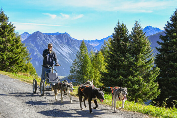 livigno husky village sleddog with huskies