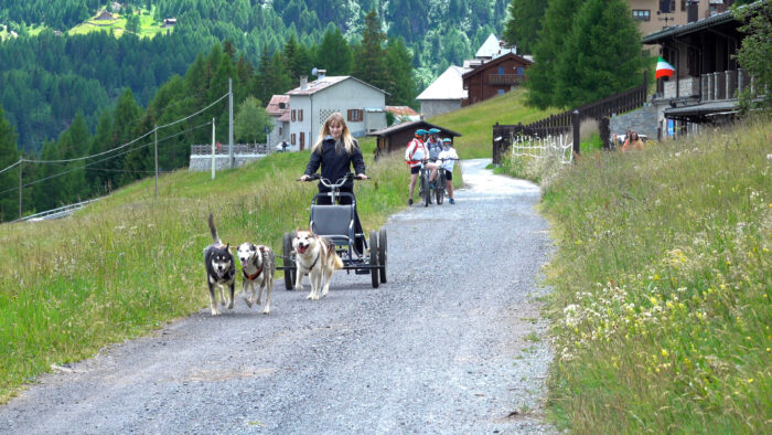 cani husky che trainano kart all'Husky Village vicino a Livigno