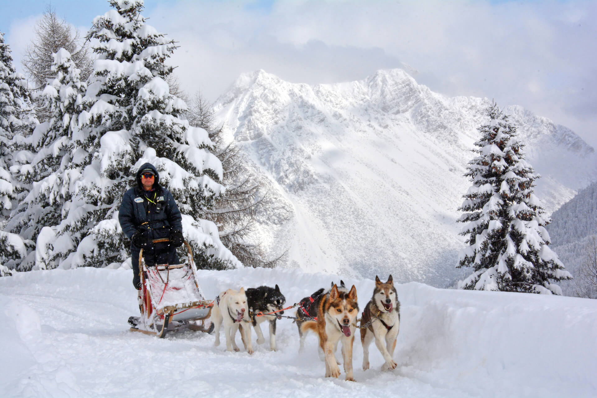 sleddog with huskies in Valtellina, a romantic experience in the Alps